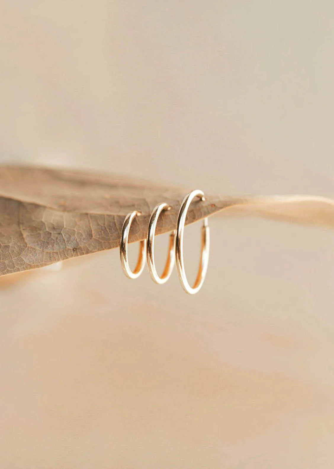 Endless Hoops - Image 3