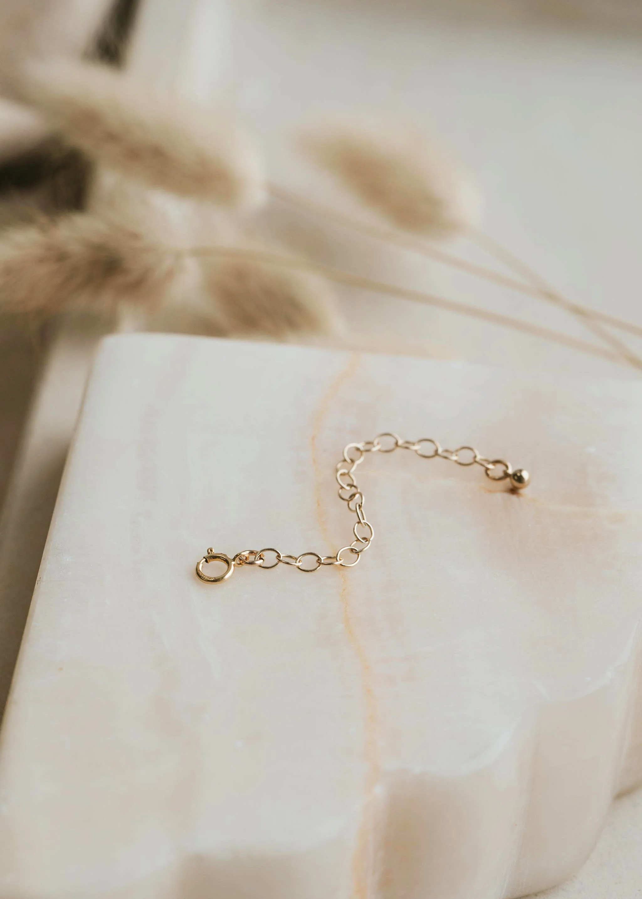 Extender Chain - Image 4