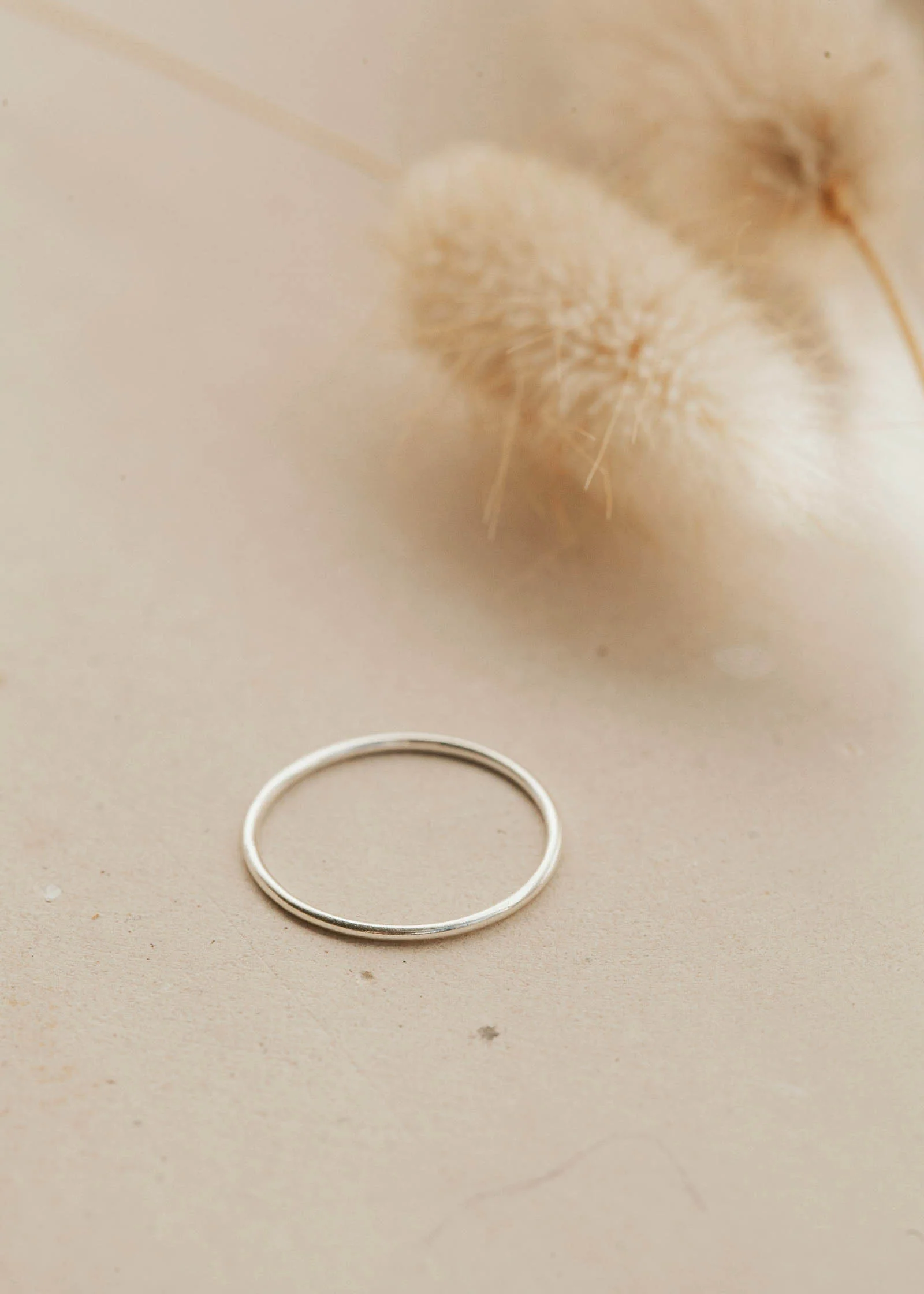 Teeny-Tiny Band - Image 10