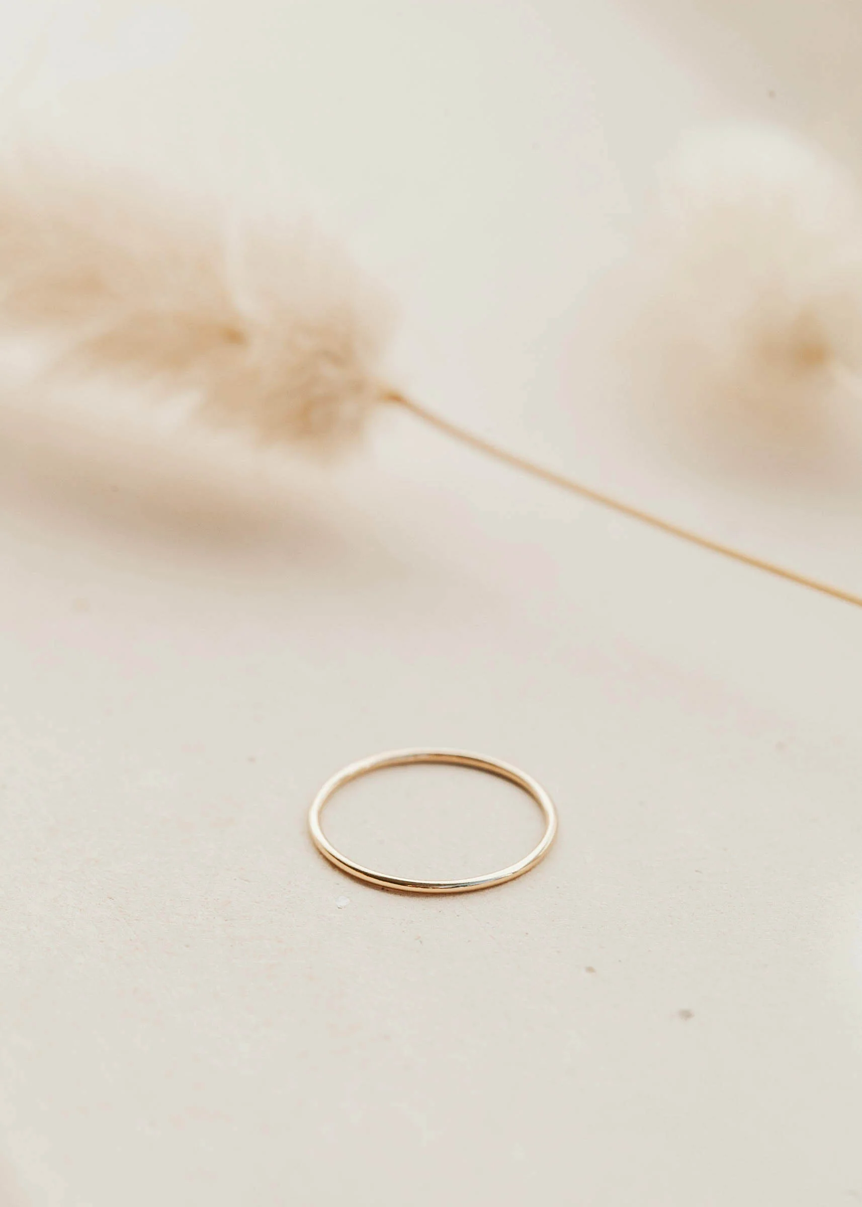 Teeny-Tiny Band - Image 6